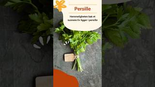 Persille Fordeler Helsefordeler Med Persille Persille Fordeler For Helse