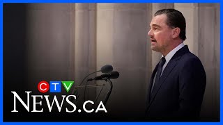 Leonardo DiCaprio speaks at Jane Goodall’s funeral | ‘She could light up a room’