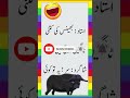 Mazahiya latifay  funny jokes  urdu hindi jokes  urdu hindi lateefay  aaj ka lateefa  shorts