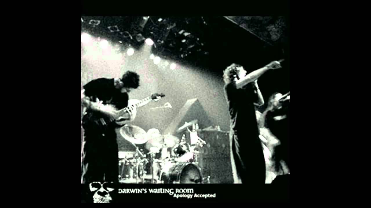 Darwin's Waiting Room - Cracked Out