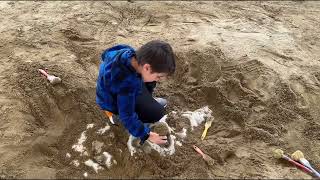 Uraz Arkeoloji kazı yaptı ve Dinazor kemikleri buldu screenshot 3