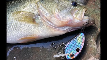 Making a balsa fishing  Lure Flatside Crankbait