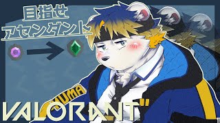 【ランク配信】VALORANT目指せアセンダント！現在ダイヤ3＠39LP！