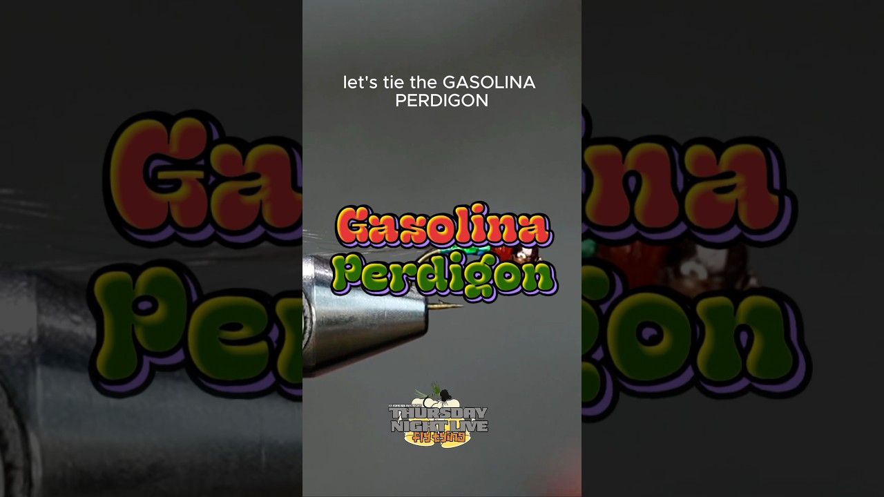 Let’s tie : The Gasolina Perdigon , as read by Resina! 