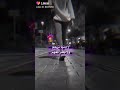لادنيا ترحم ولا بشر يفهم