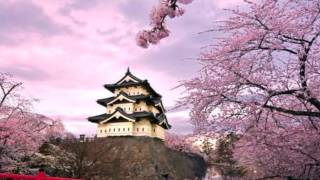 Video thumbnail of "SAYONARA  JAPANESE GOODBYE"