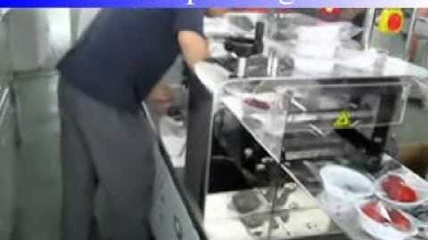 Endive packaging in flow pack wrapper (fresh vegetables  )