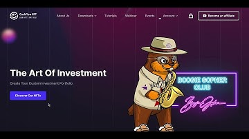 How to connect your Metamask wallet to CashFlow NFT and OpenSea