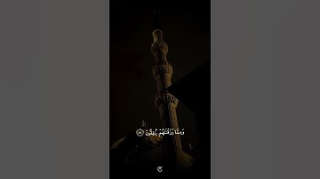 اكتب شيء تؤجر عليه 😴💚 / القارئ عبد الرحمن مسعد | قران كريم
