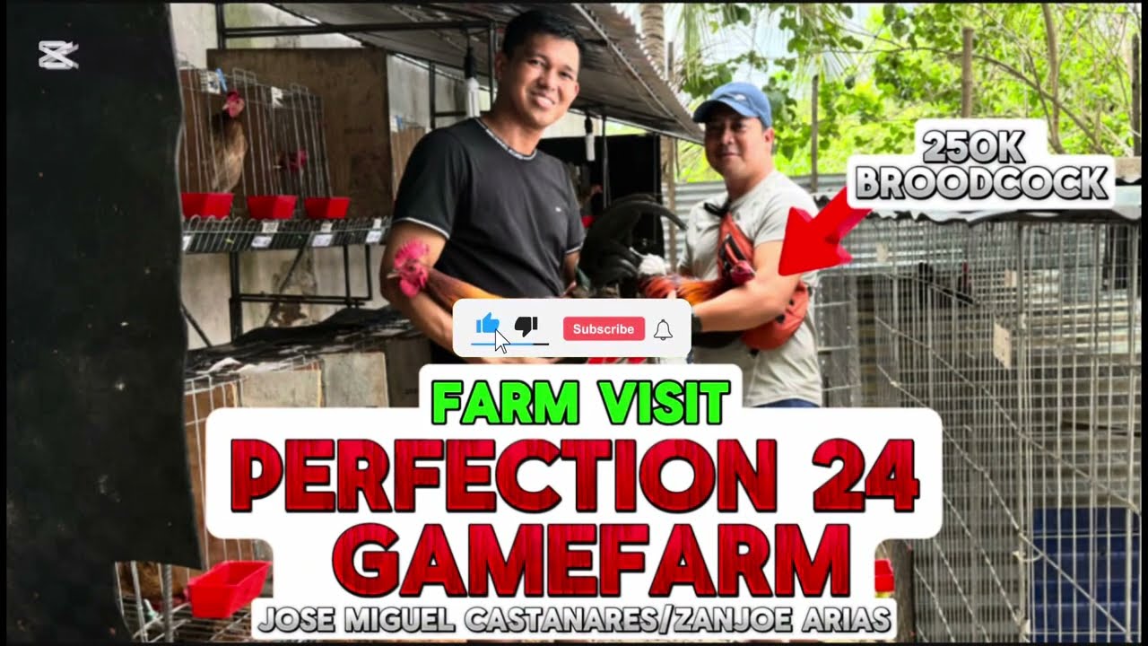 Vlog No: 01 - Farm Visit Perfection24 Gamefarm
