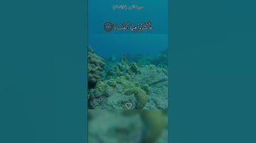 إِنَّ رَبَّكَ لَبِٱلۡمِرۡصَادِ ﴿١٤﴾ سورة الفجر Quran