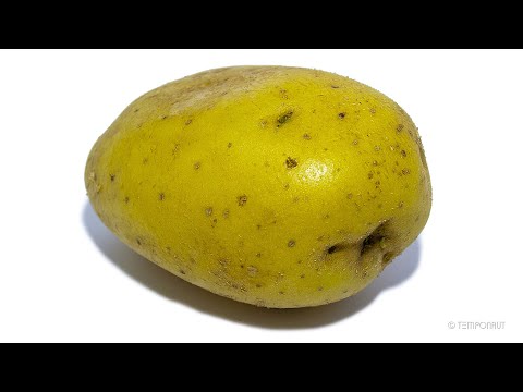 Potato Timelapse