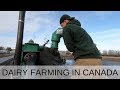 Dirty Jobs on Dairy Farm