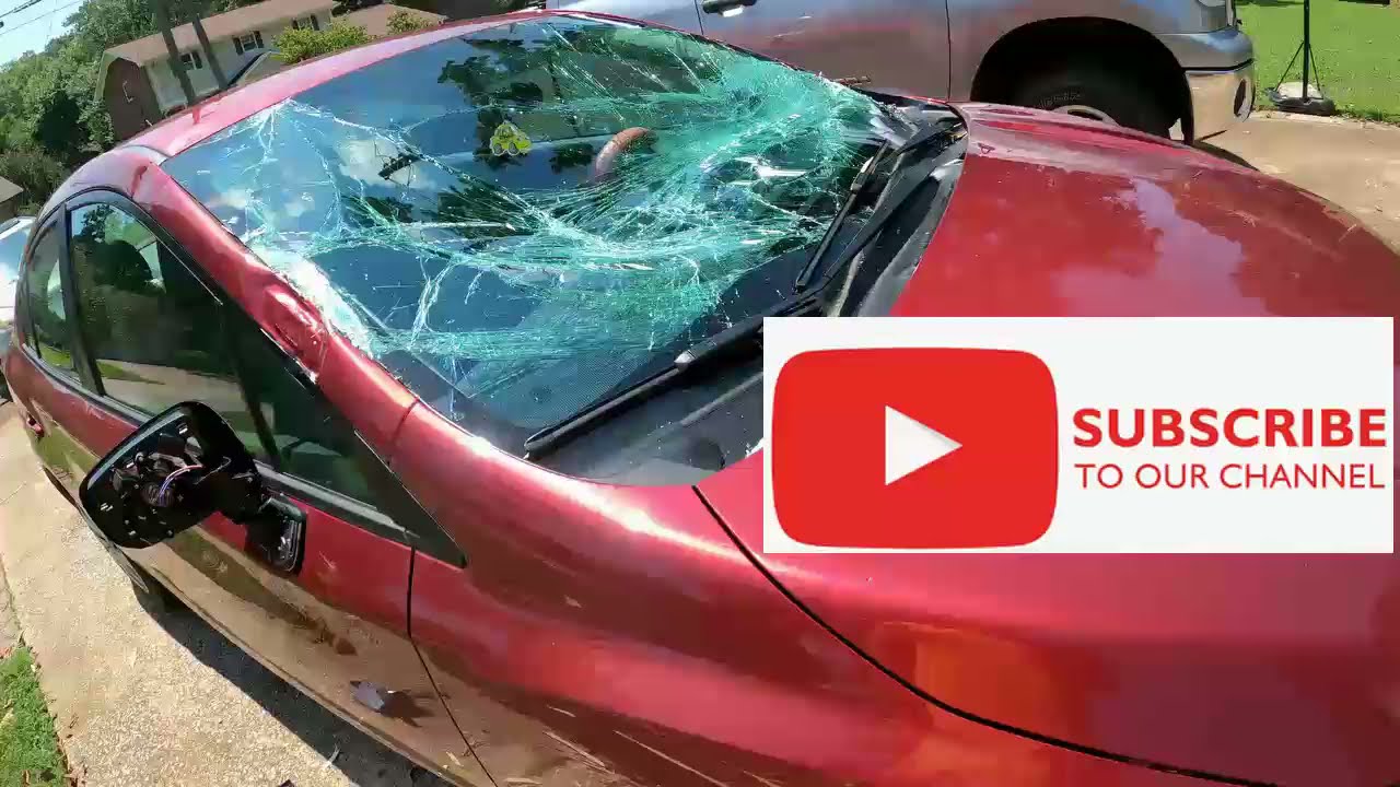 Started Removing a Cottonwood Tree Today YouTube