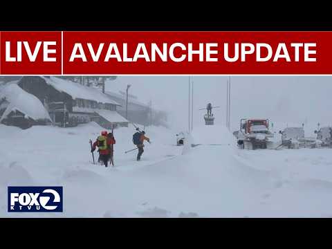 LIVE: Lake Tahoe avalanche: 8 backcountry skiers dead, 1 still missing