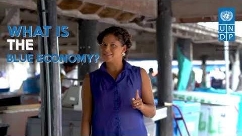 We Need YOU for the UNDP Accelerator Lab!