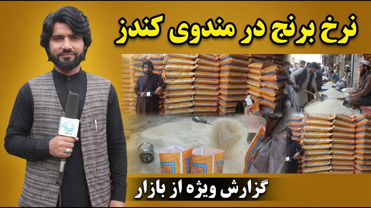 نرخ ونوای برنج در مندوی کندزجان| قیمت برنج لونگی| زراعتی| باره | باسمتی| 