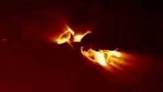 fire flower screenshot 4