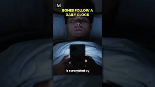 Your Bones Keep A Daily Schedule Too