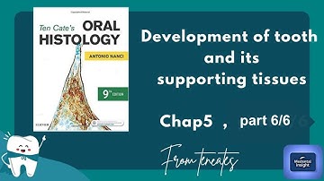 Last part of tooth development from Tencates oral histology chap 5 part 6 .