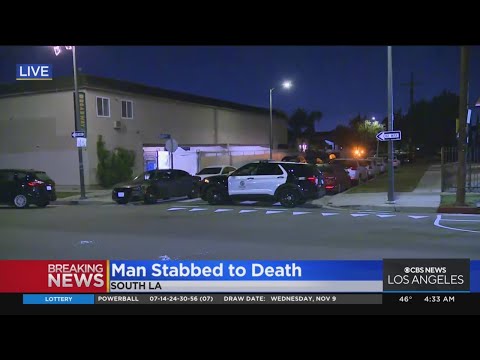 Man stabbed to death in South LA