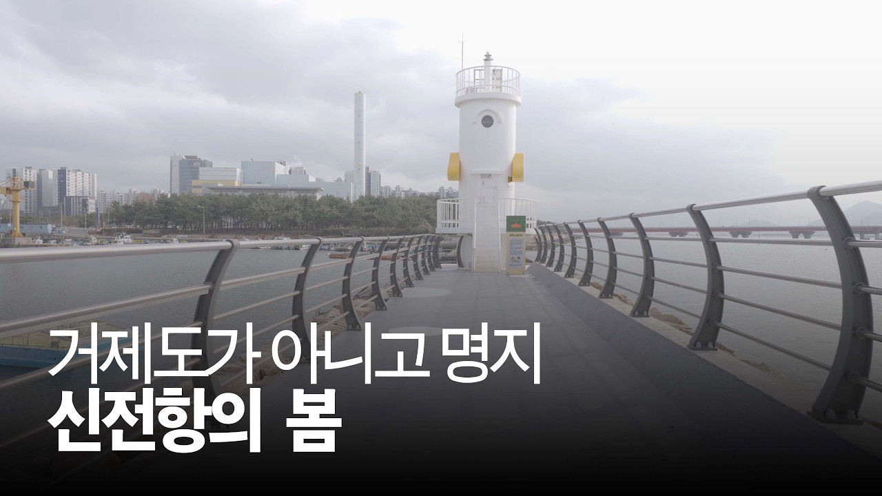 봄이 오는 3.1절 오후 명지 신전항 #명지 #부산여행 #신전항