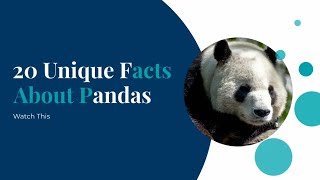20 unique facts about panda screenshot 5