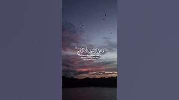 قرآن كريم بصوت ماهر المعيقلي | حالات واتس اب دينية - سورة المائدة | تلاوة جميلة 🤍