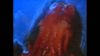 New Book Trailer: Sangue Caldo Saga