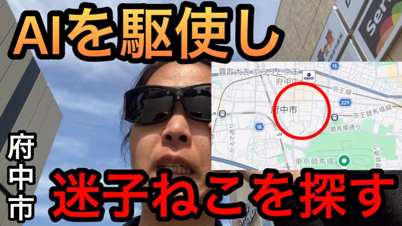 【解決済！】迷い猫をAIを使い探す試み…果たして…【東京都府中市】