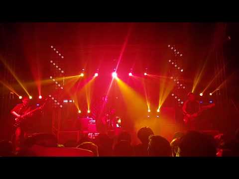 The Lemons -
