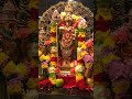 Muruga un|vel kondu kaappatru🙏|short video bhakti devotional song tamil trending video|murugan