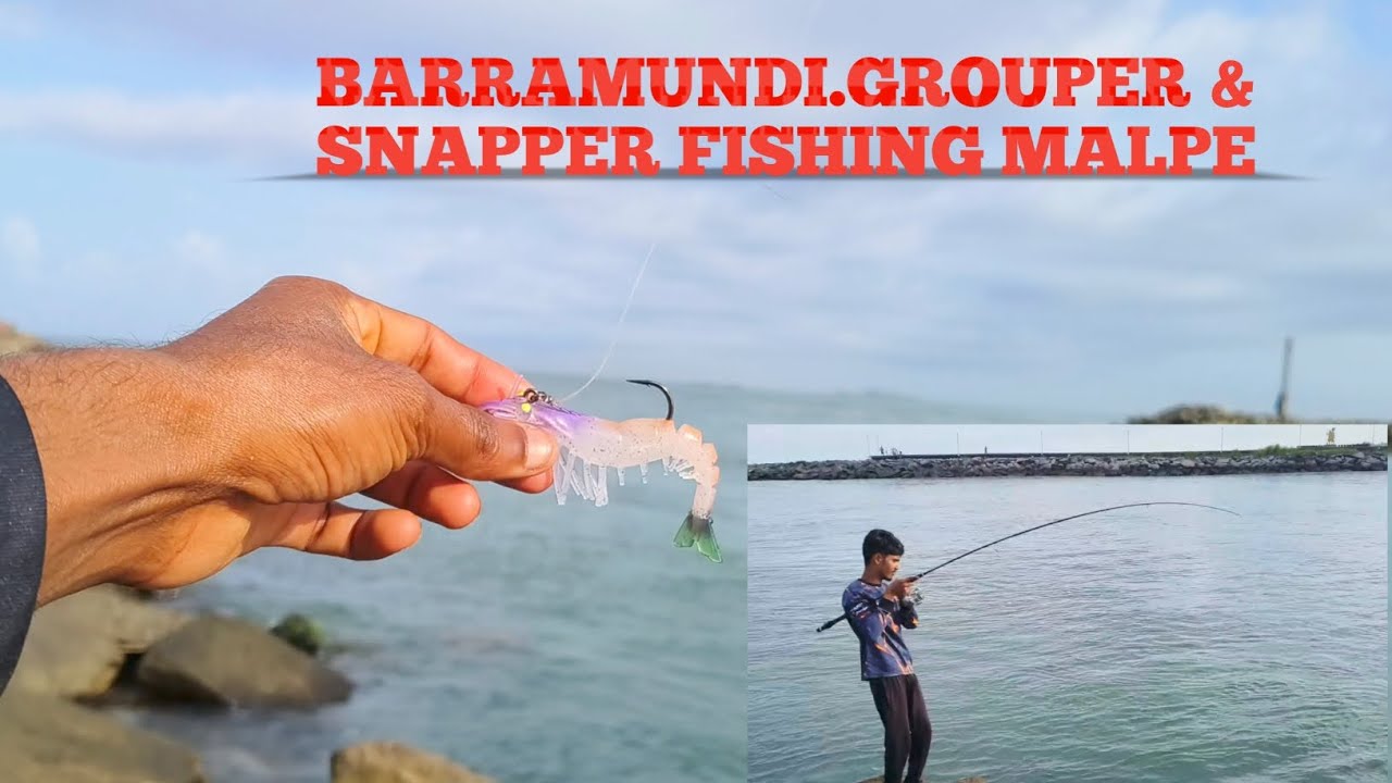 MONSOON SEASON FISHING IN MALPE. BARRAMUNDHI.GROUPER & SNAPPER (LURE :JELLY BLUE SHRIMP)