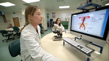 Bachelor of Arts and Science (BASc) degree