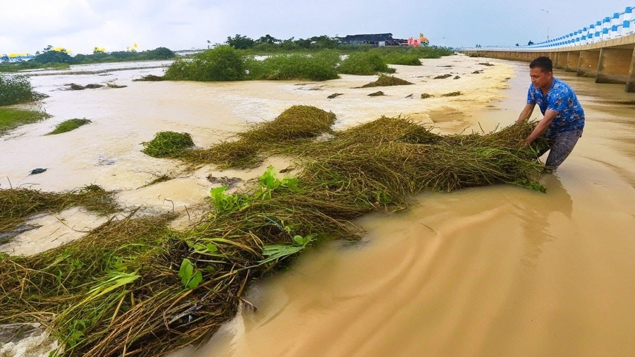Action Remove Floating Weed Clogged On Massive Dam After Flooding Villagers Hard Crossing