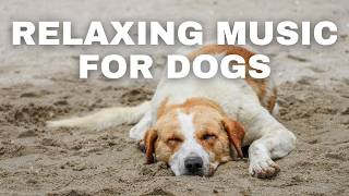 Relaxing Music for Dogs (Helps With Separation Anxiety