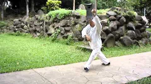 八步螳螂 摘要一段 手腳齊封 8-step Praying Mantis Section 1