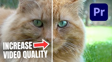 Instantly IMPROVE Video Quality In Premiere Pro