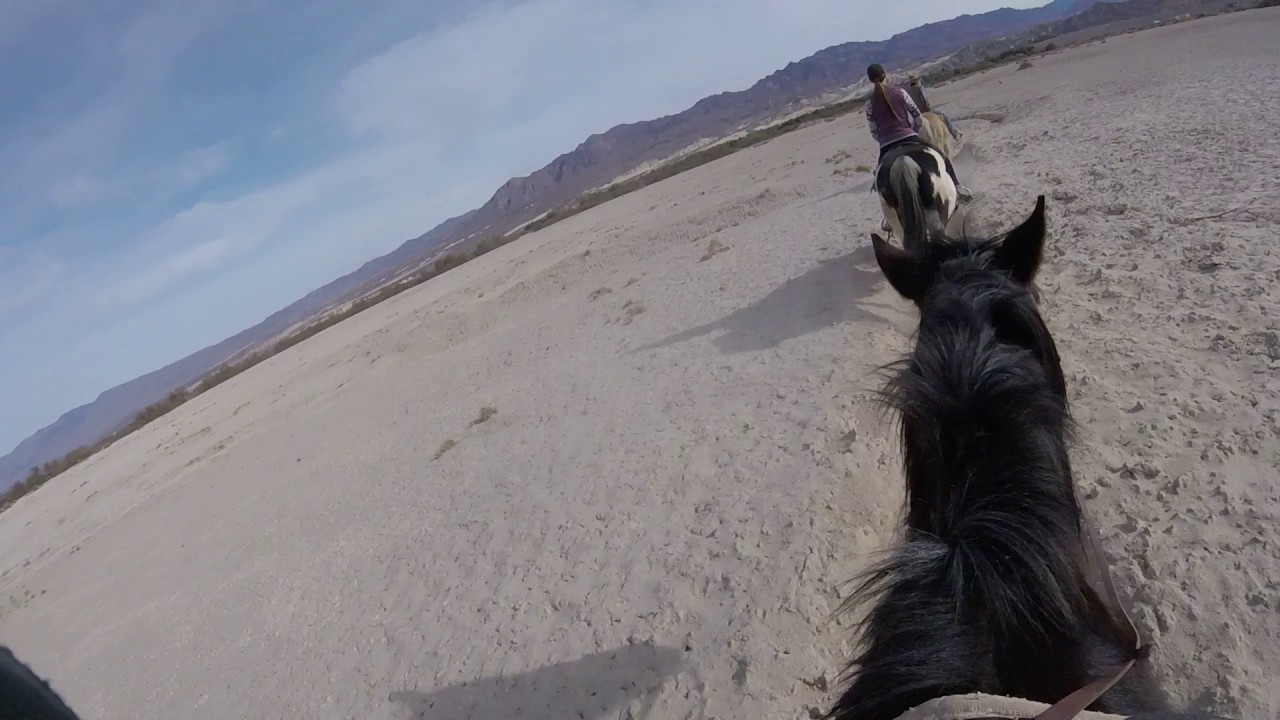 Horseback riding in Death Valley YouTube