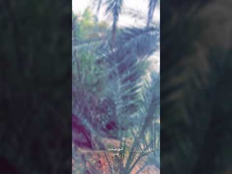 وجهك صباح الخير ولا مساء الخير عبدالرحمن بن يعروف الكعبي