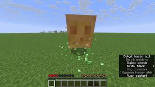 Minecraft 1 21 11 Tek Oyunculu 2026 08 10 18 23 36