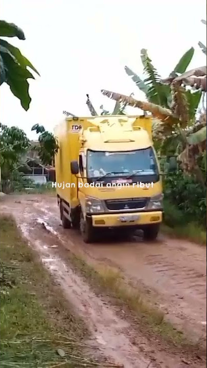 story wa truk box