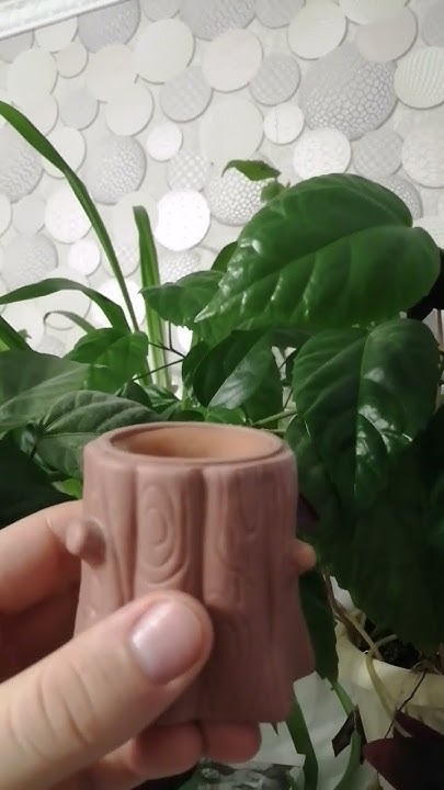 купи фуфлика - YouTube