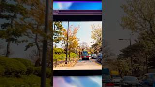 Experience Driving Around The World