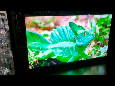 Телевизор Samsung UE43NU7097U. Отзыв и обзор