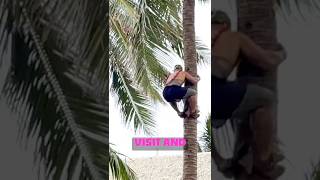 Welcome to Hawaii... Full Episode Coming Soon #hawaii #roadtohana