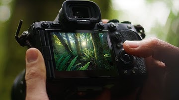 How To Photograph Complex Forest Landscapes
