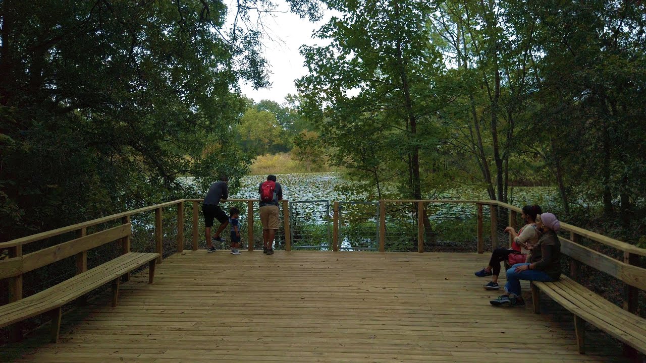 [4K] Houston Arboretum & Nature Center ASMR (Wildflower Trail, Buttonbush Trail, Meadow Pond)
