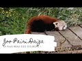 1 Journée à PAIRI DAIZA 2021 : Zoo le plus beau d'Europe ! 1er WE de déconfinement