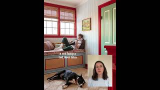 The Unexpected Red Theory Explained Guía